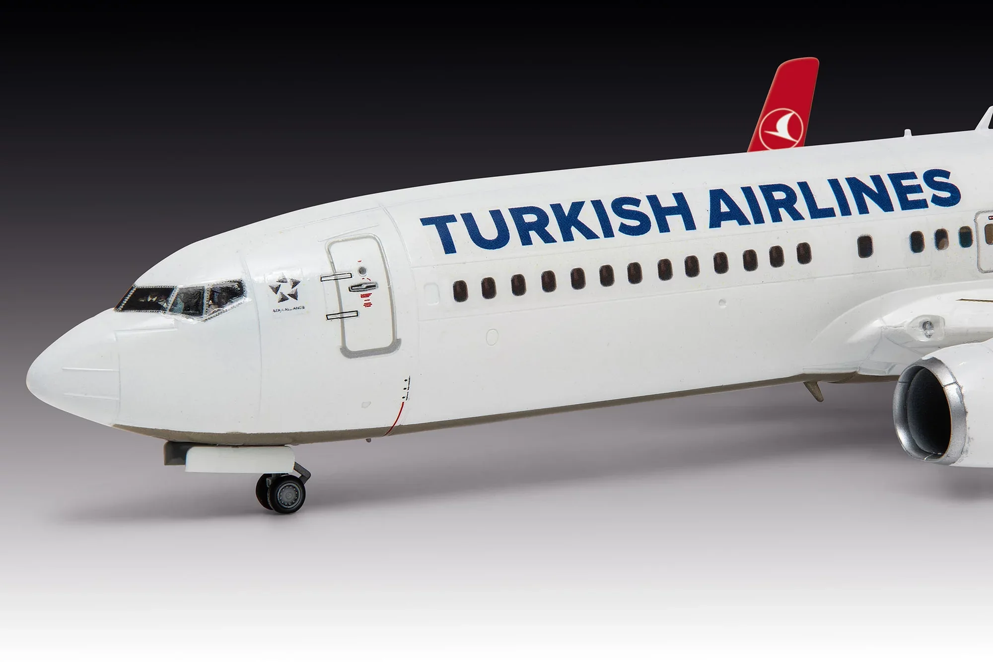 Boeing 737-800 "Turkish Airlines" - Image 7