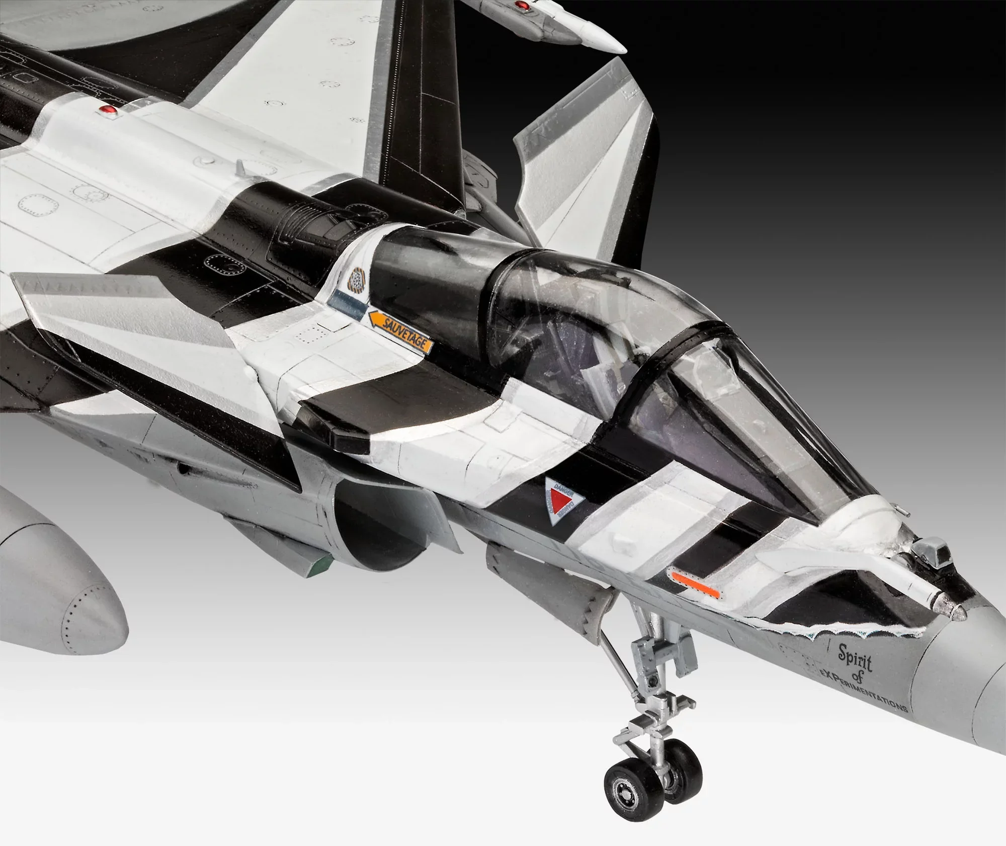 Model Set Dassault Aviation Rafale C - Image 3