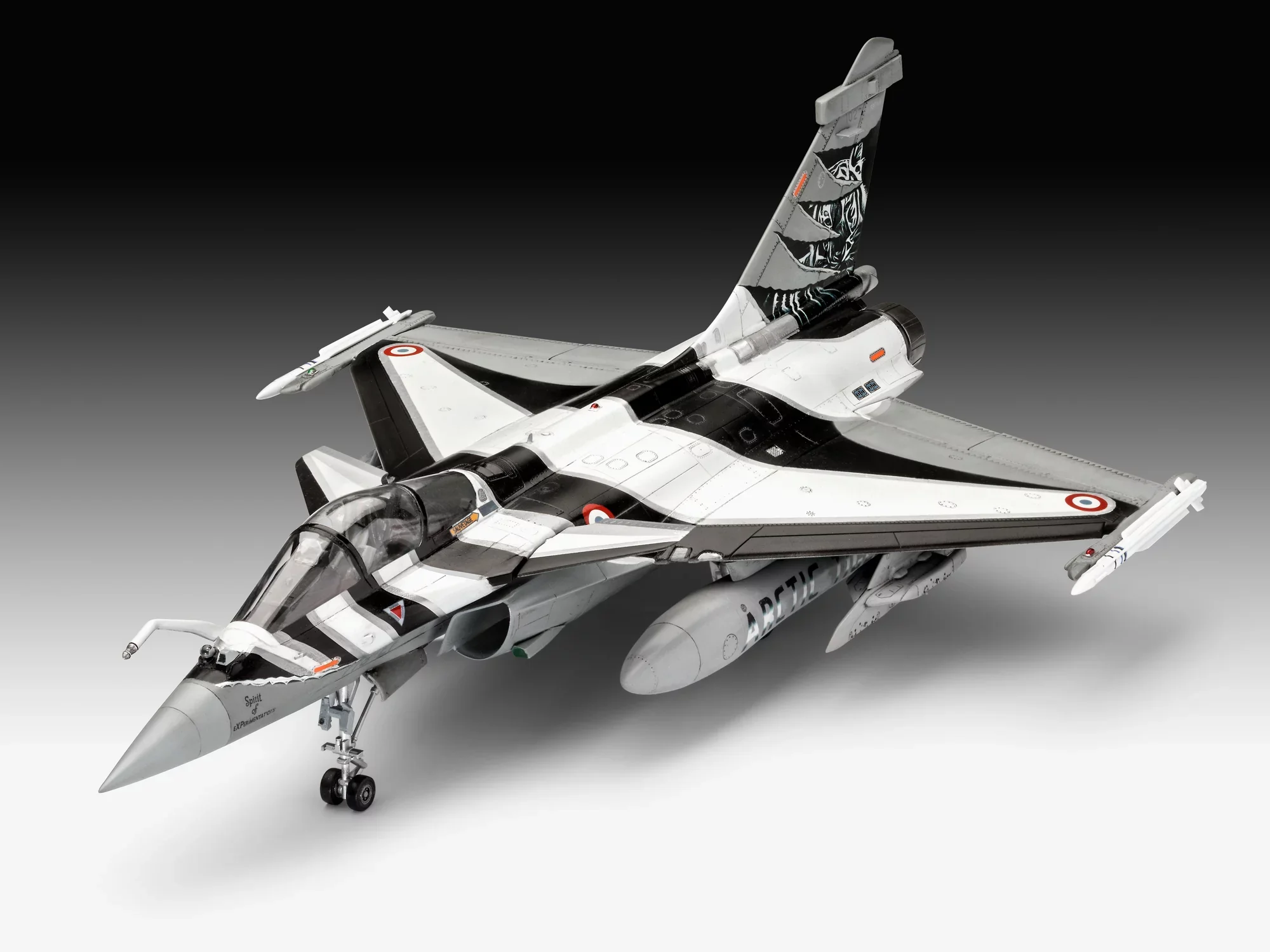 Model Set Dassault Aviation Rafale C - Image 8