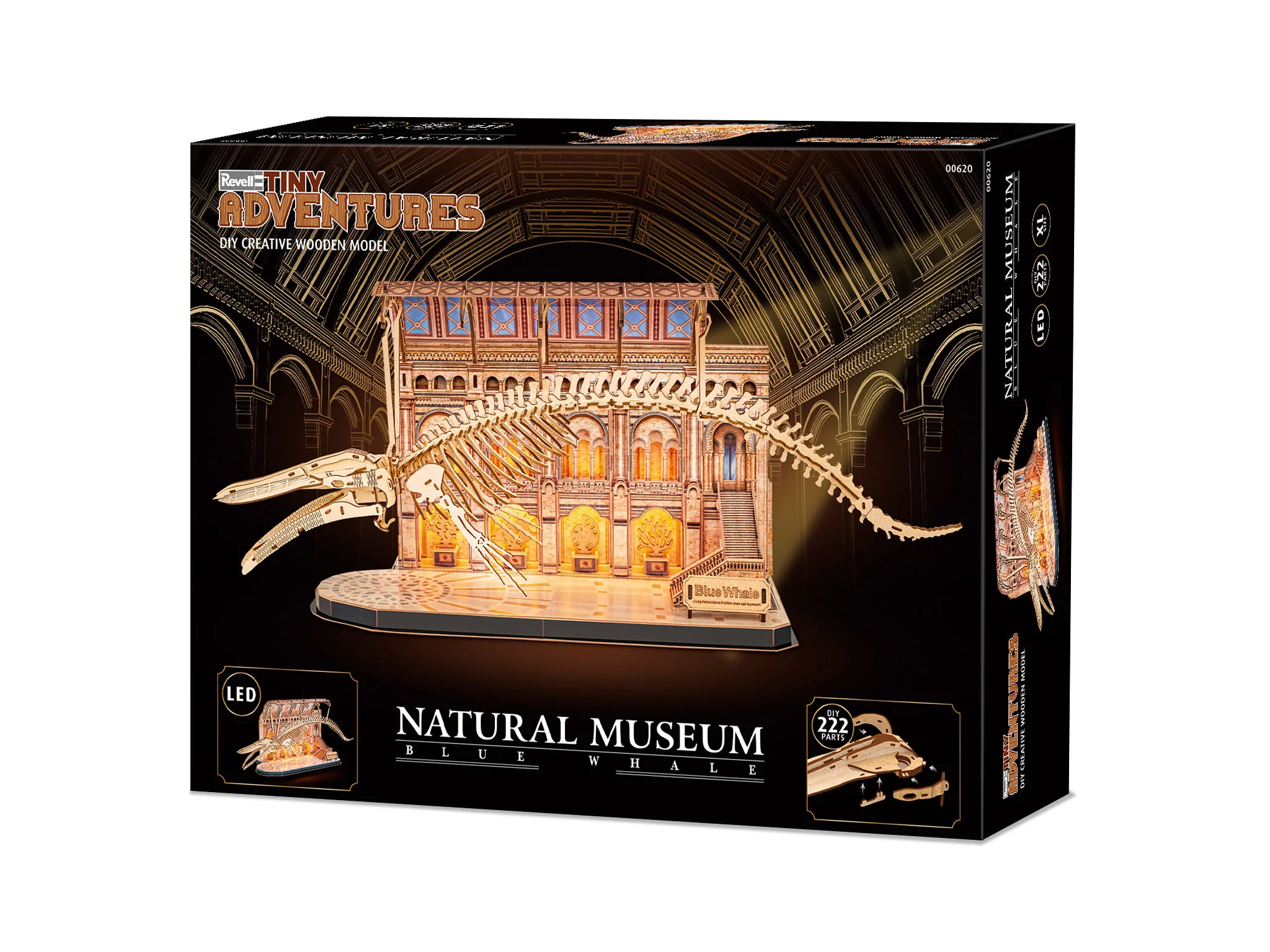 Natural Museum Blue Whale - Image 5